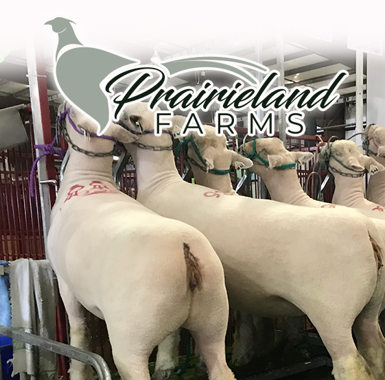 Prairieland Farms